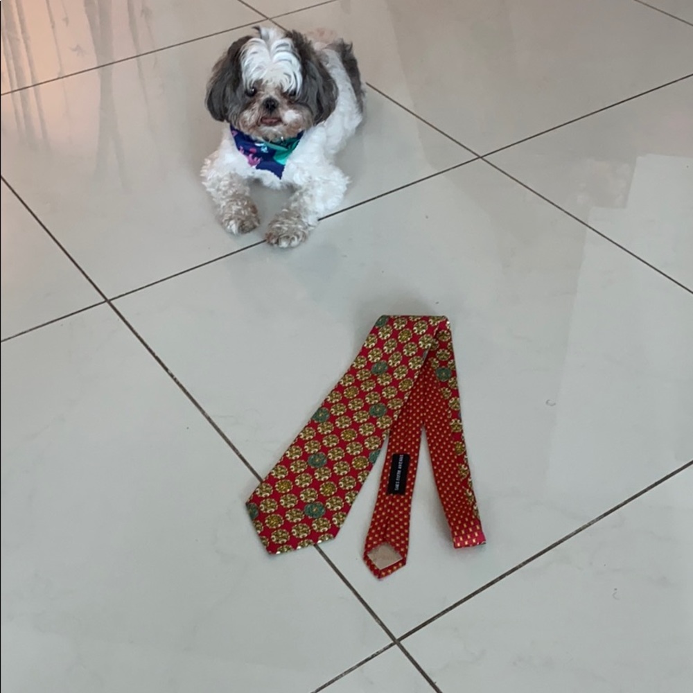 Versace tie